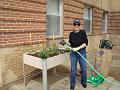 Jean plants her herb & tomatoes